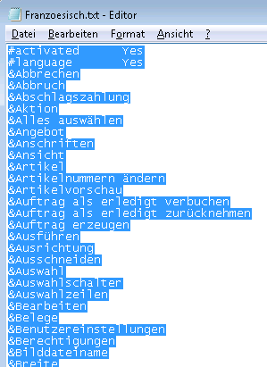 Übersetzungsdatei im Editor